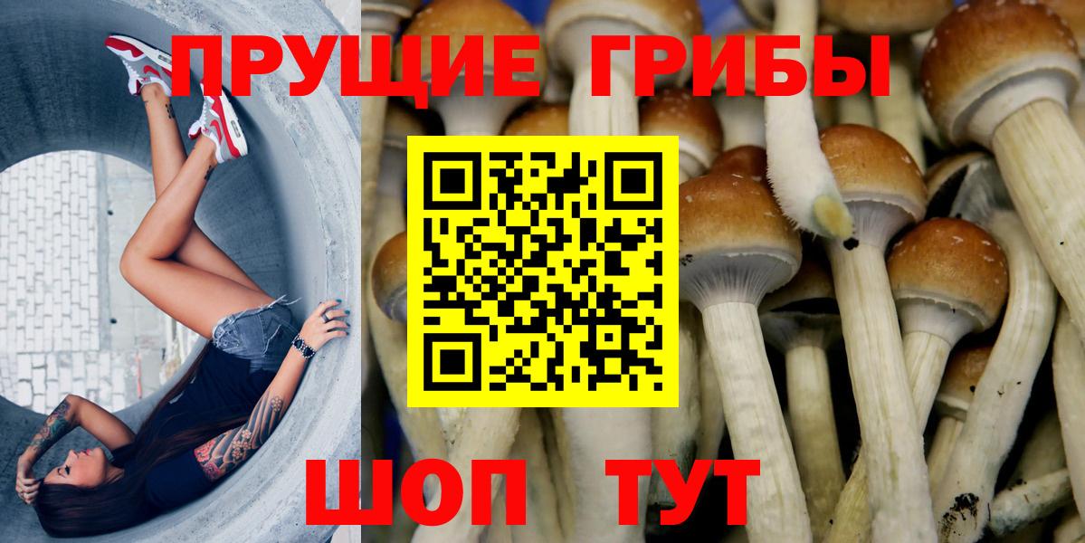 Псилоцибиновые грибы Cubensis Гусь-Хрустальный