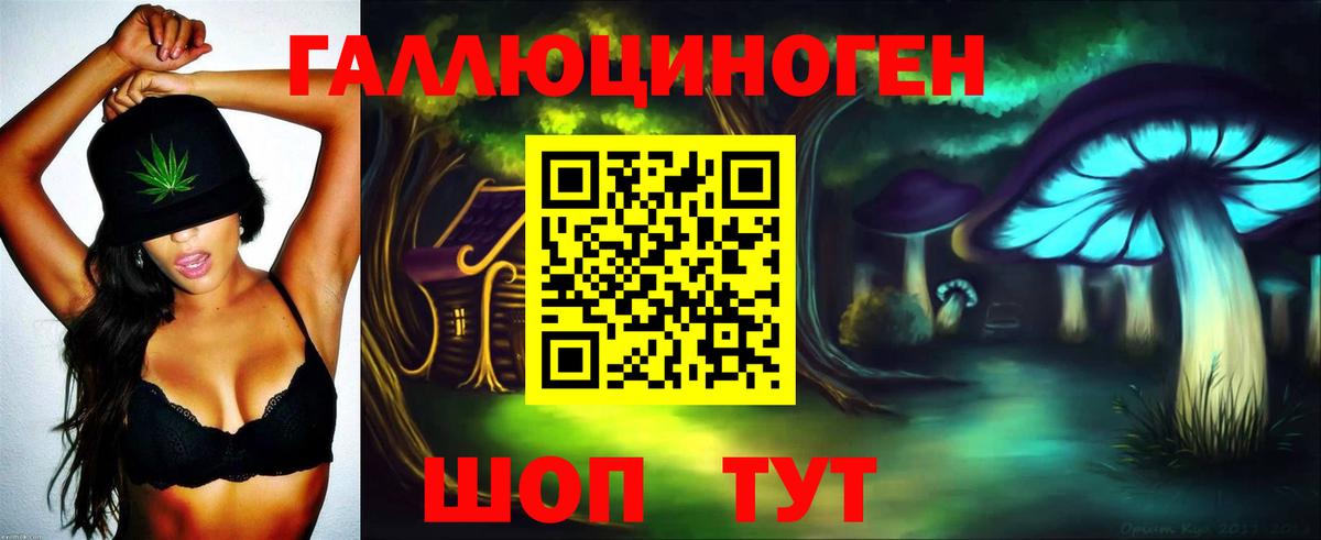 Гусь-Хрустальный  Галлюциногенные грибы прущие грибы  Вход с VPN 